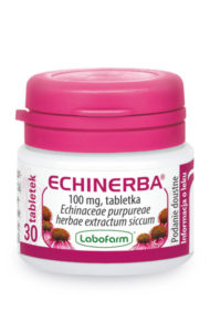 Lek z jeżówki purpurowej - Echinerba